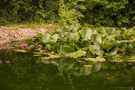 Pause und Erholung_038